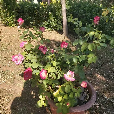 Farm stay Tenuta Santa Maria