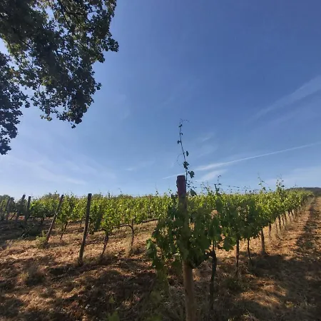 Tenuta Santa Maria *