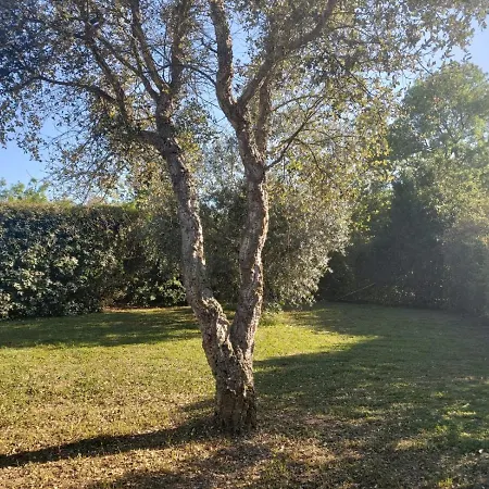 Tenuta Santa Maria Farm stay