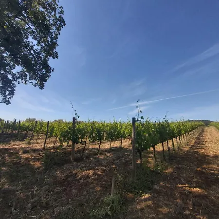 Tenuta Santa Maria Campagnatico