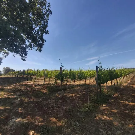 Tenuta Santa Maria
