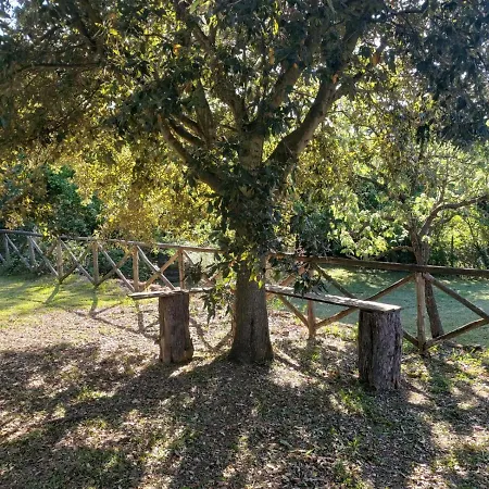 Tenuta Santa Maria