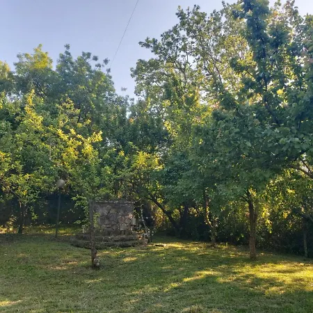 Farm stay Tenuta Santa Maria